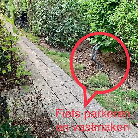 Wilde Moeflon, Geniet Van De Vrije Natuur! 欧特罗 外观 照片