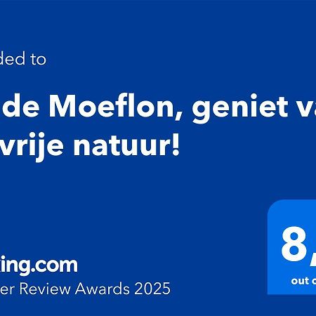 Wilde Moeflon, Geniet Van De Vrije Natuur! 欧特罗 外观 照片