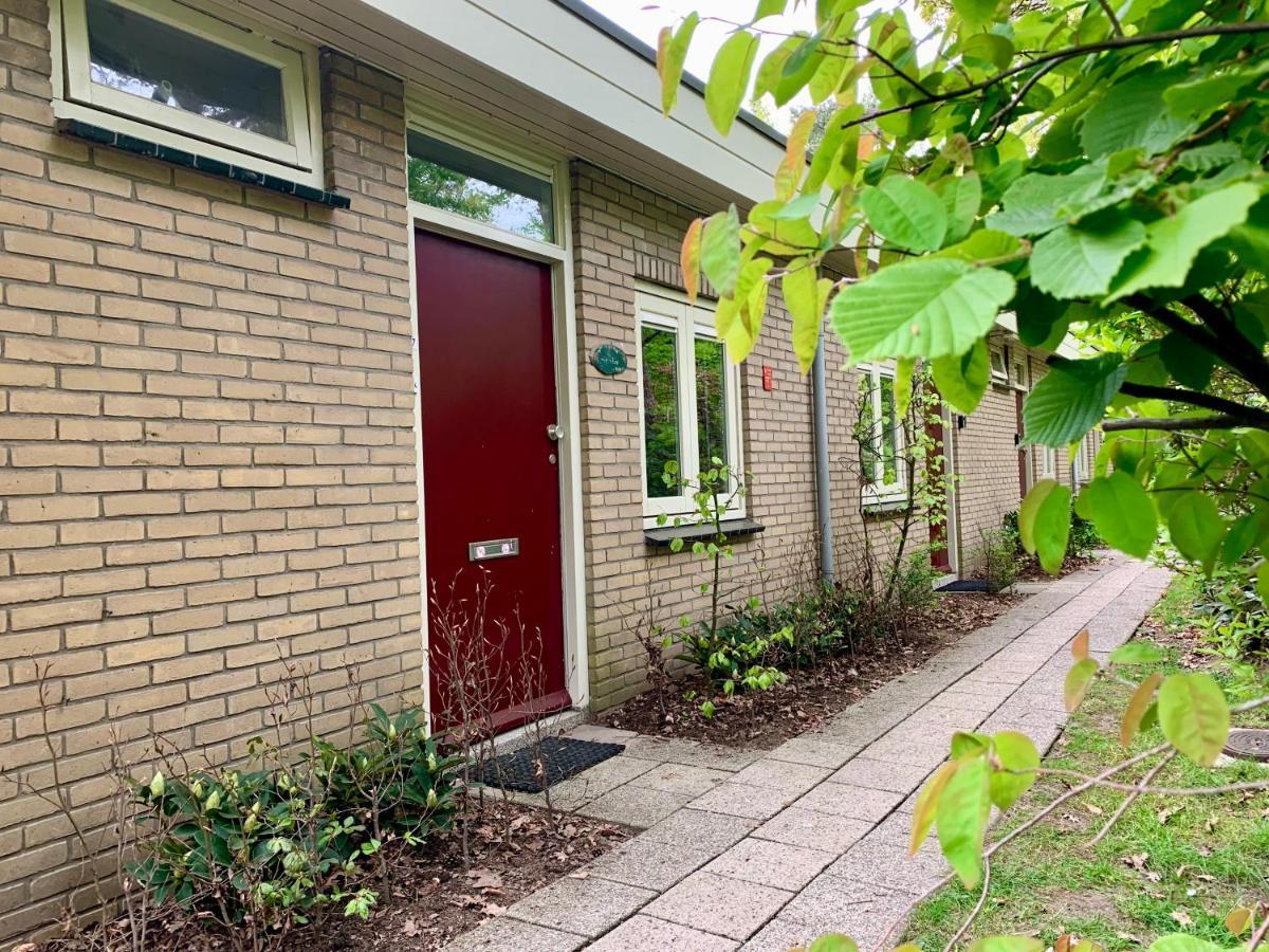 Wilde Moeflon, Geniet Van De Vrije Natuur! 欧特罗 外观 照片