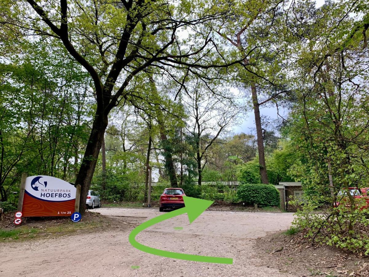 Wilde Moeflon, Geniet Van De Vrije Natuur! 欧特罗 外观 照片