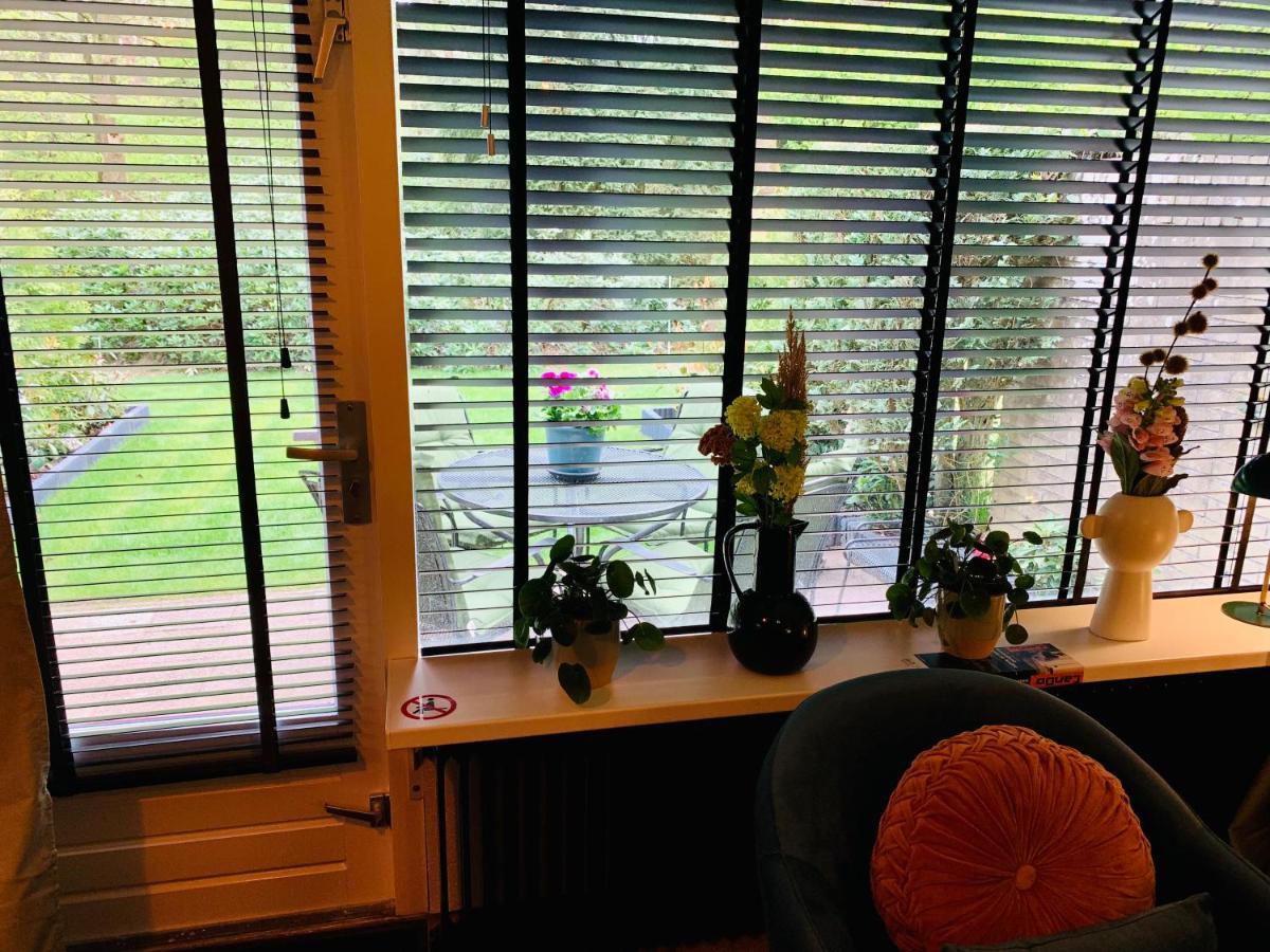Wilde Moeflon, Geniet Van De Vrije Natuur! 欧特罗 外观 照片
