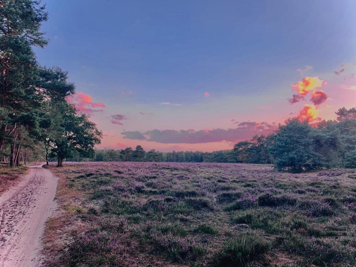 Wilde Moeflon, Geniet Van De Vrije Natuur! 欧特罗 外观 照片
