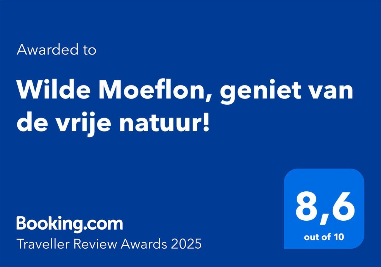 Wilde Moeflon, Geniet Van De Vrije Natuur! 欧特罗 外观 照片